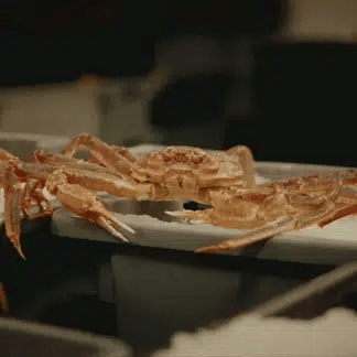 🦀High Protein Crab Leg Seafood Snack, Low Carb Friendly, Ready-to-Eat Ocean Flavor Treat-JR-xdd