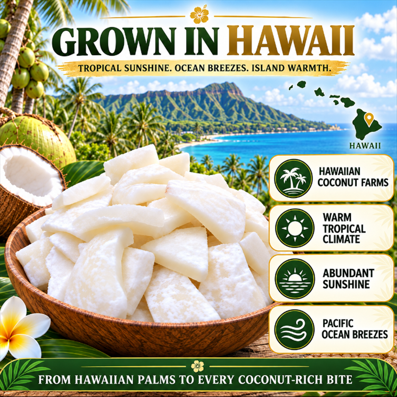 🥥Premium Coconut Wedges – Sweet, Chewy & Ready to Eat-JR-Tobi