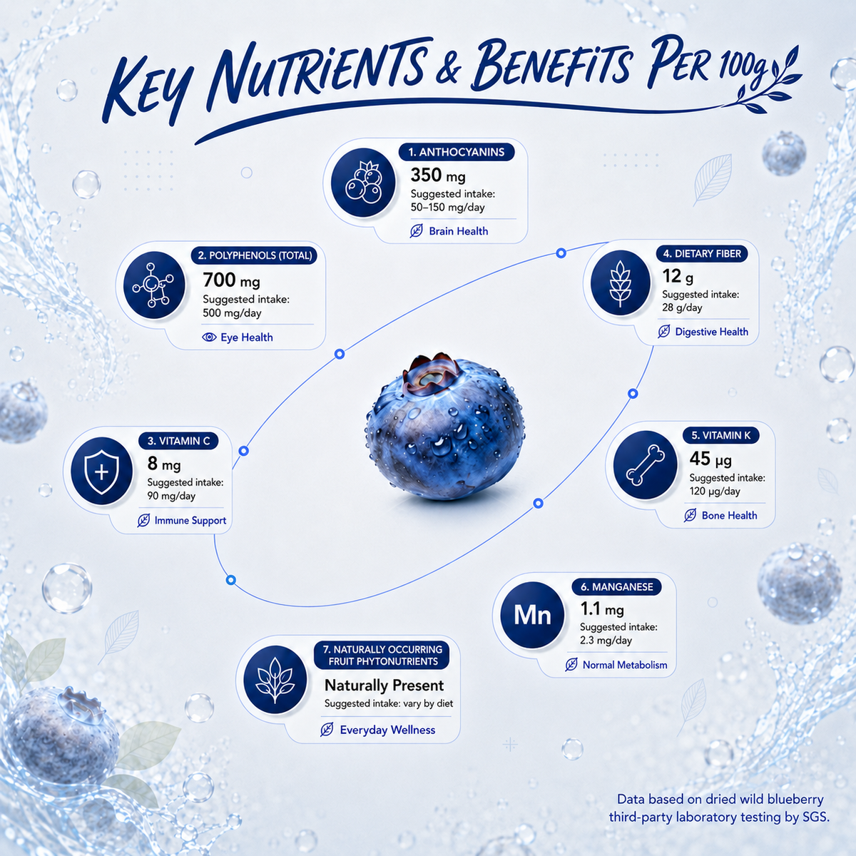 Premium Unsweetened Dried Wild Blueberries from Canada | Antioxidant Superfood Snacks-JR-WHM