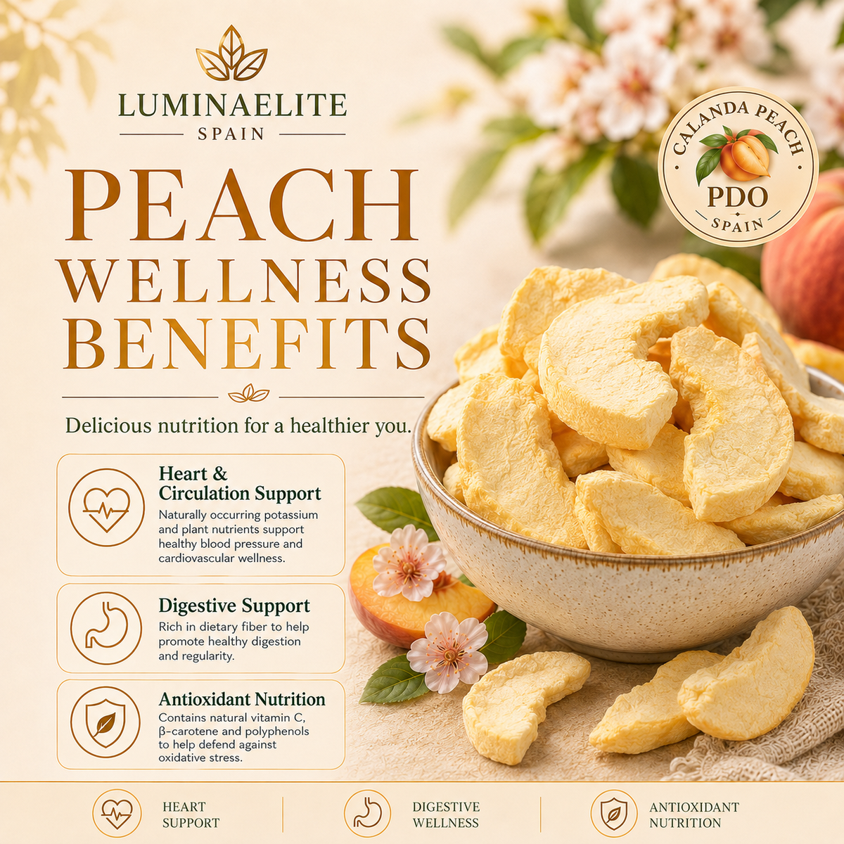 Premium Freeze-Dried Calanda Yellow Peaches — Naturally Sweet, Crispy, and Made with No Added Sugar.-JR-YH