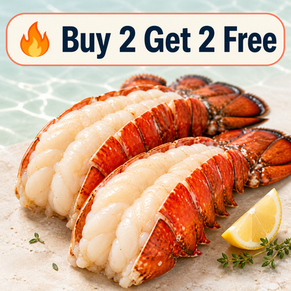 🦞 Ovelqo Premium Maine Lobster Tails Wild-Caught • Sweet • Juicy • Firm-JR-TTBD