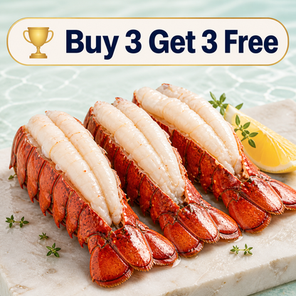 🦞 Ovelqo Premium Maine Lobster Tails Wild-Caught • Sweet • Juicy • Firm-JR-TTBD