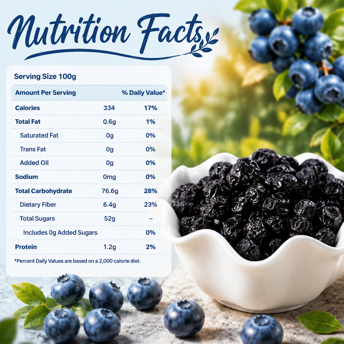 Premium Unsweetened Dried Wild Blueberries from Canada | Antioxidant Superfood Snacks-JR-WHM