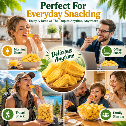 Premium Freeze-Dried Jackfruit A Sweet, Crispy & Naturally Delicious Tropical Snack Made From Real Fruit-JR