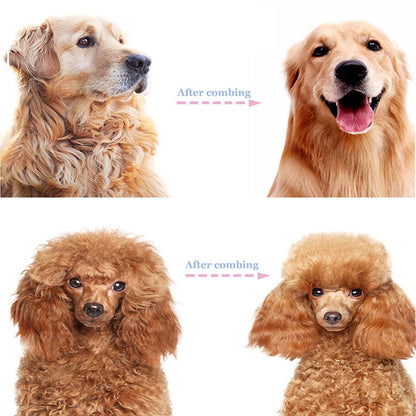 ⏰🔥LIMITED TIME 50% OFF! 🐾 Professional Deshedding Tool for Dogs & Cats – Gentle, Efficient & Fur-Free Home ✨💖-XA