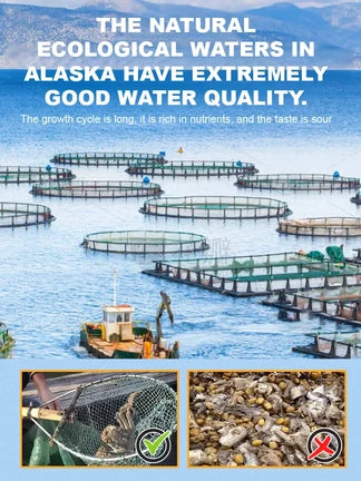 Alaskan Snow Crab Ready-to-EatCrispy Crab-JR+Evan