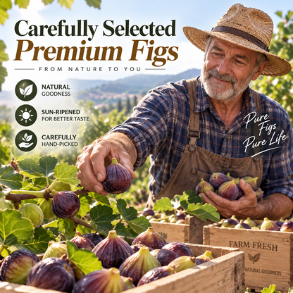 The Ancient Fruit Snack Everyone Is Talking About Soft, Sweet & Naturally Delicious Dried Figs-JR-EDC